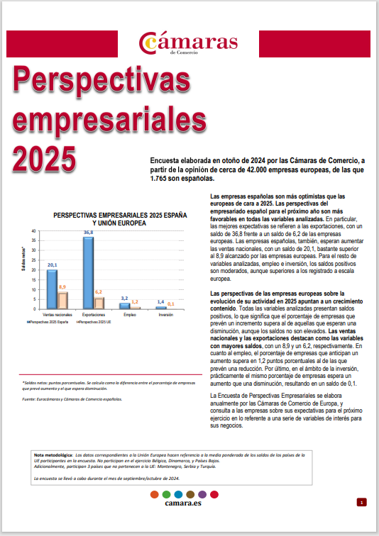 Perspectivas empresariales 25 1