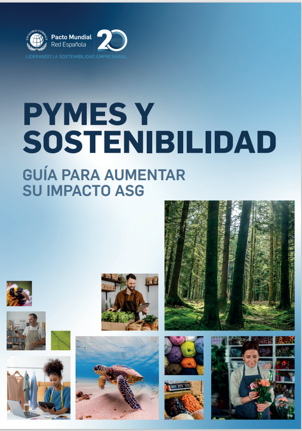 Pymes y sostenibilidad 25