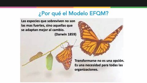1 EE Colegio Salliver