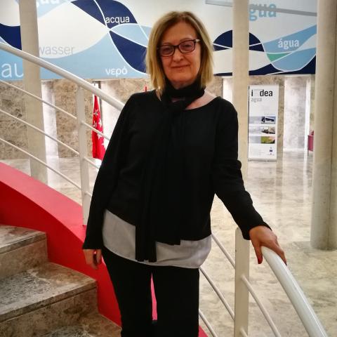 Irene De Bustamante Gutiérrez, Directora Adjunta IMDEA Irene De Bustamante Gutiérrez, Directora Adjunta IMDEA